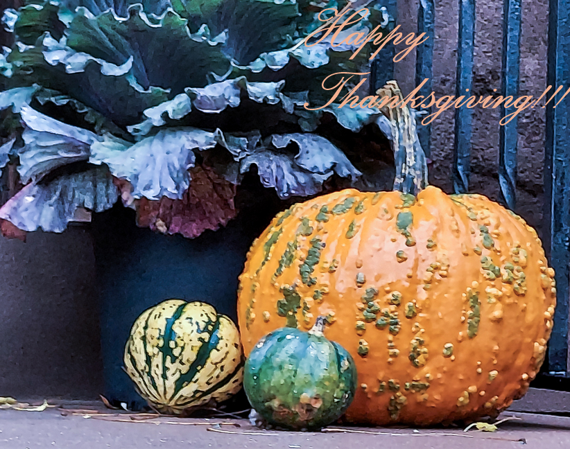 Happy Thanksgiving from Accord Real Estate Group